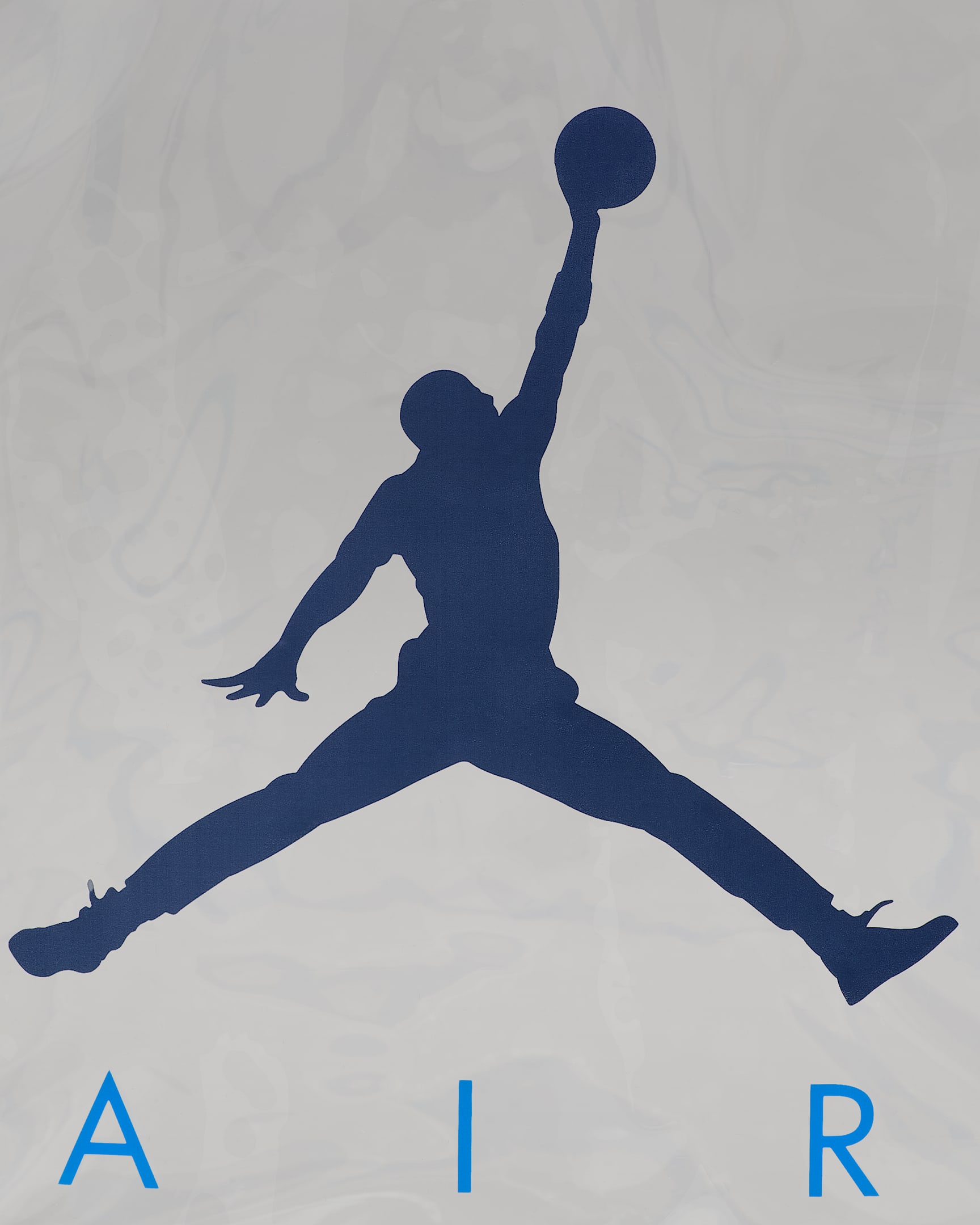 Jordan Clear School Backpack (17L).