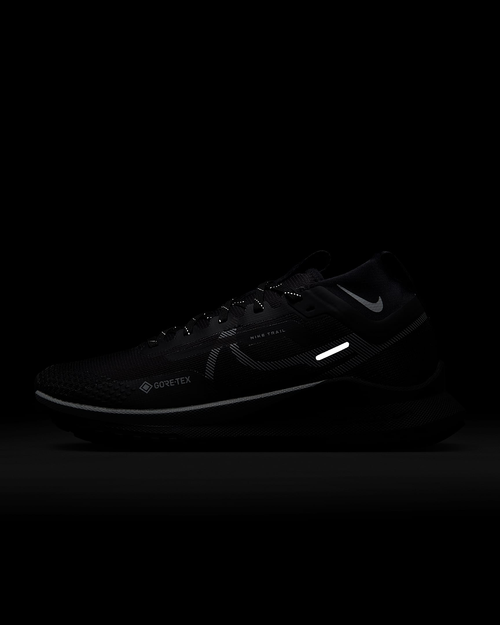 Nike Pegasus Trail 4 GORETEX Women's Waterproof TrailRunning Shoes