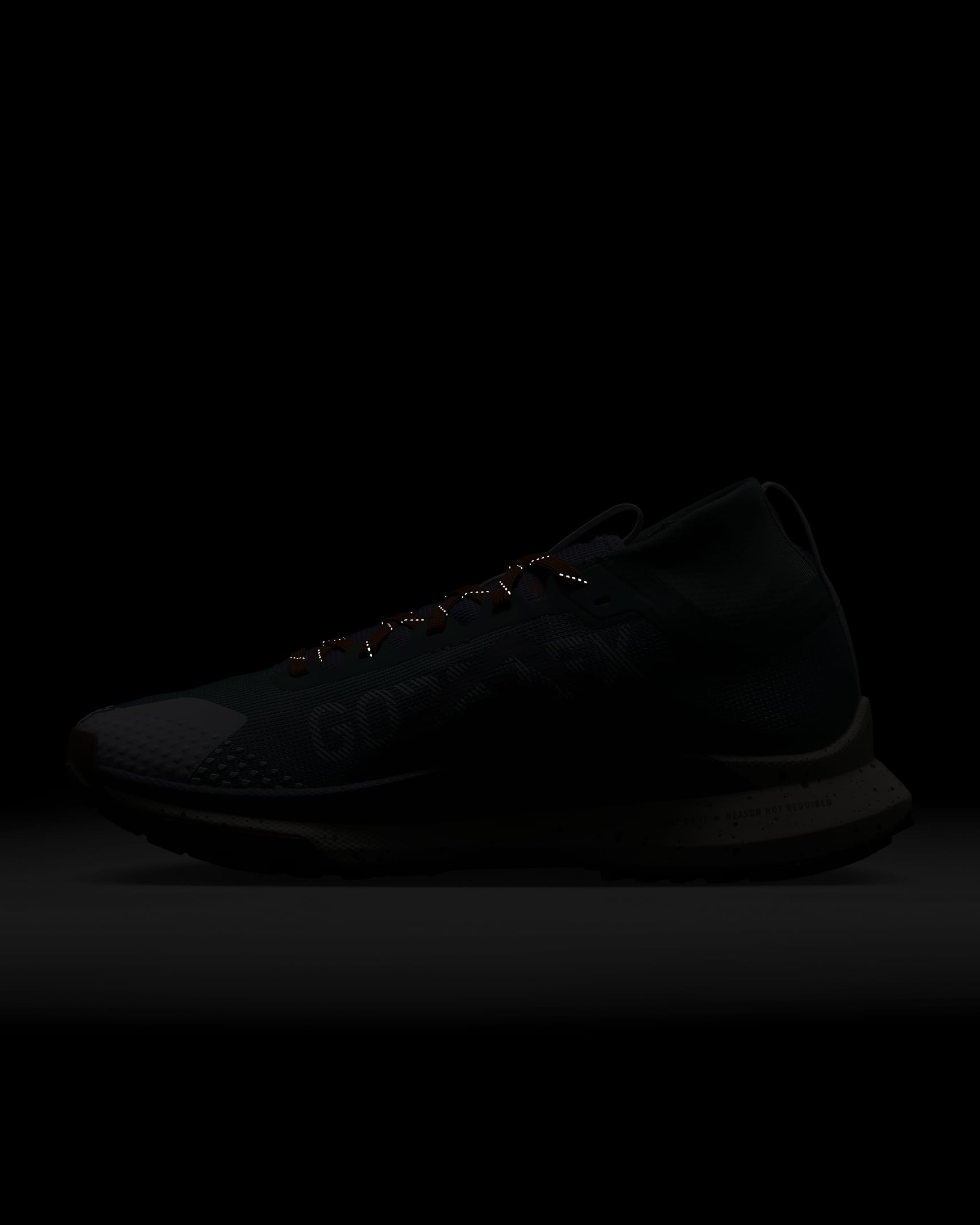 Chaussure de trail imperméable Nike Pegasus Trail 4 GORE-TEX pour femme - Bicoastal/Phantom/Barely Grape/Daybreak