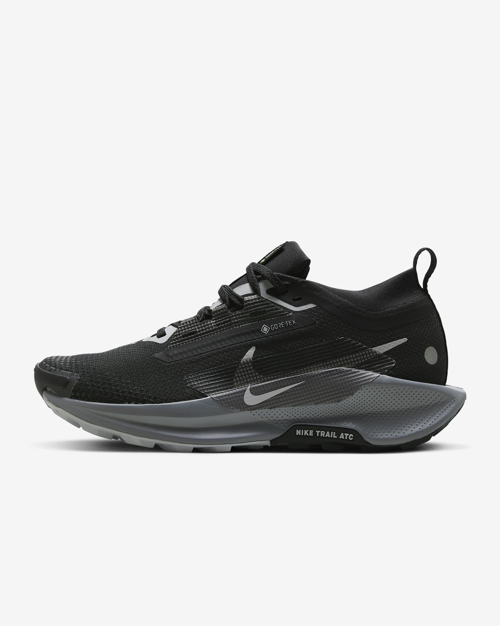 Vattentät terränglöparsko Nike Pegasus Trail 5 GORE-TEX för kvinnor - Svart/Cool Grey/Anthracite/Wolf Grey