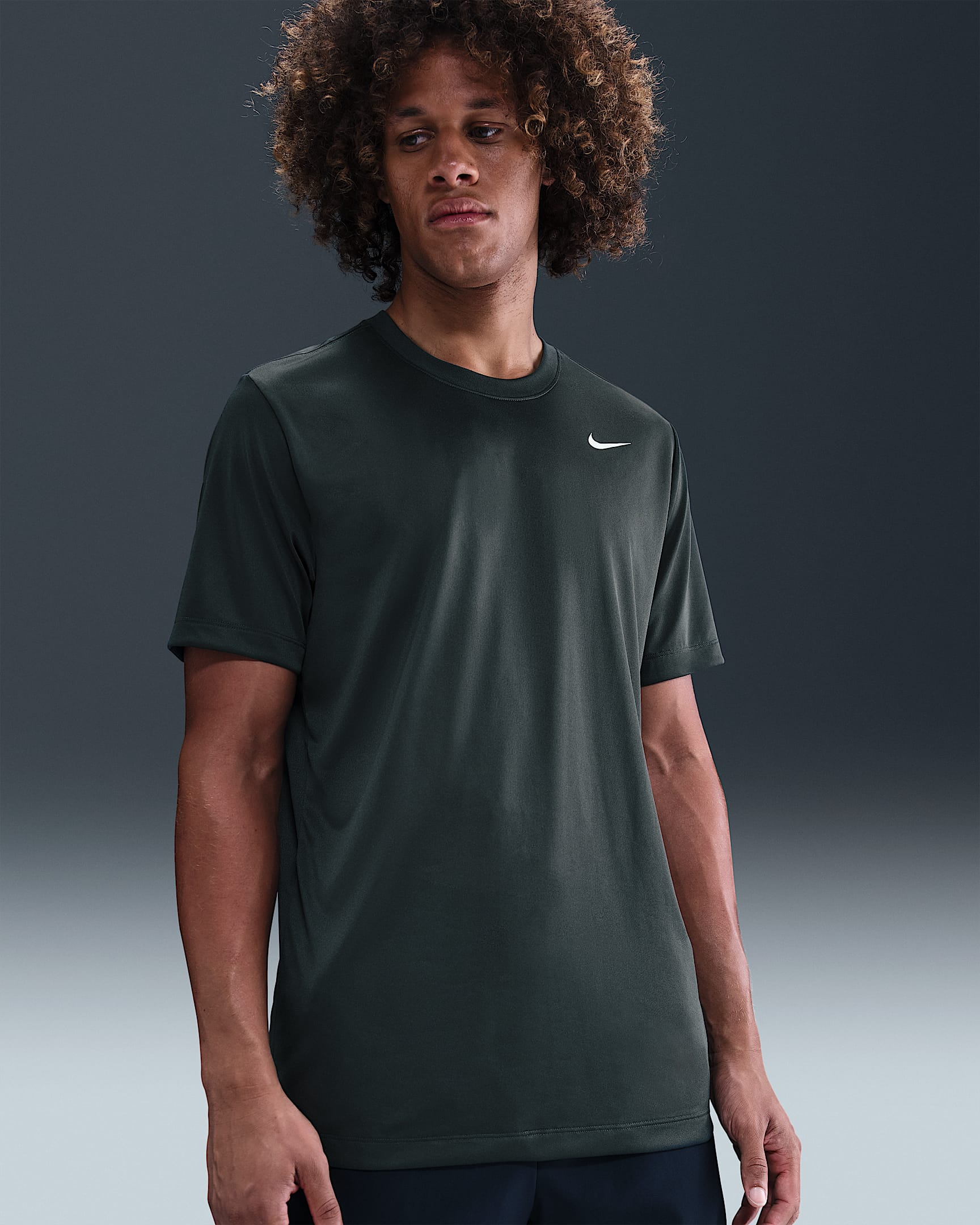 Nike Dri-FIT Legend Men's Fitness T-Shirt - Seaweed/Matte Silver