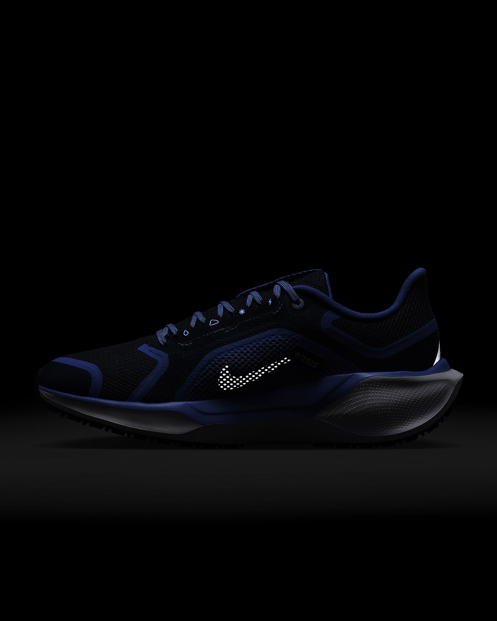 Nike Pegasus 41 GORE-TEX Women's Waterproof Road Running Shoes - Cobalt Bliss/Armoury Navy/Royal Pulse/Metallic Red Bronze