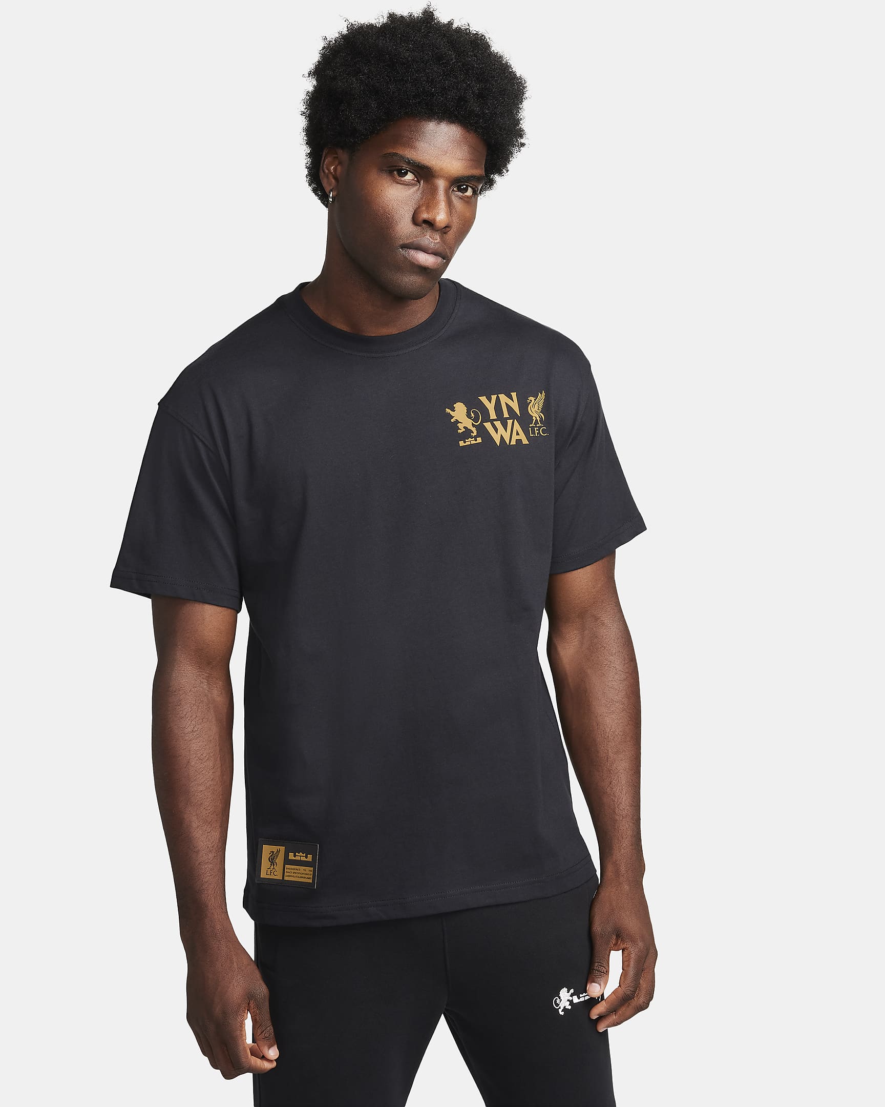 LeBron Men's M90 T-Shirt. Nike UK