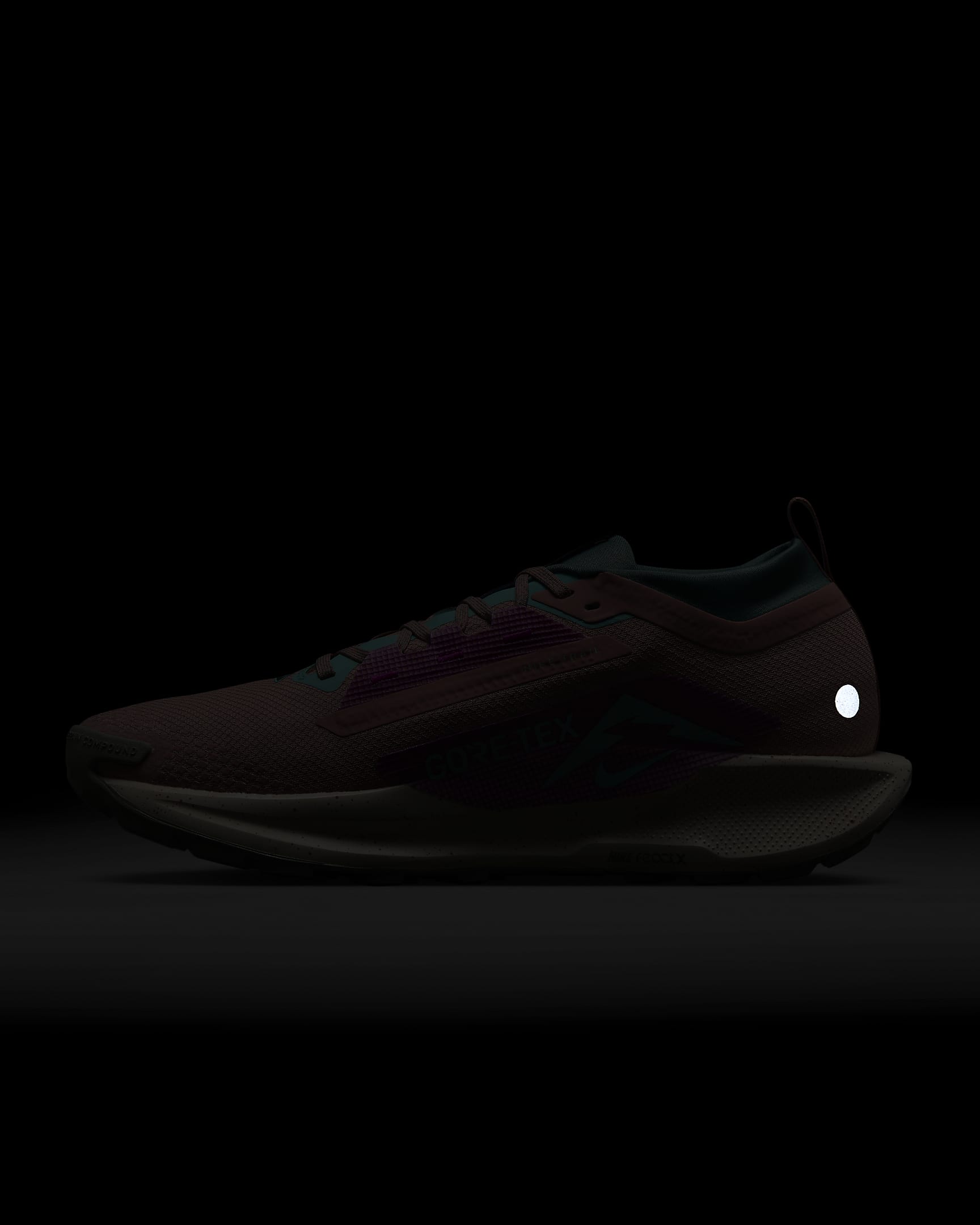 Nike Pegasus Trail 5 GORE-TEX Men's Waterproof Trail-Running Shoes - Red Stardust/Bicoastal/Vivid Grape/Green Frost