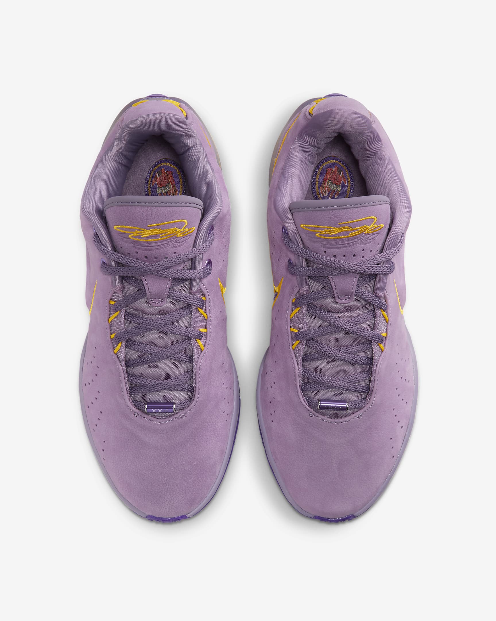 LeBron XXI 'Freshwater' Basketball Shoes - Violet Dust/Purple Cosmos/University Gold