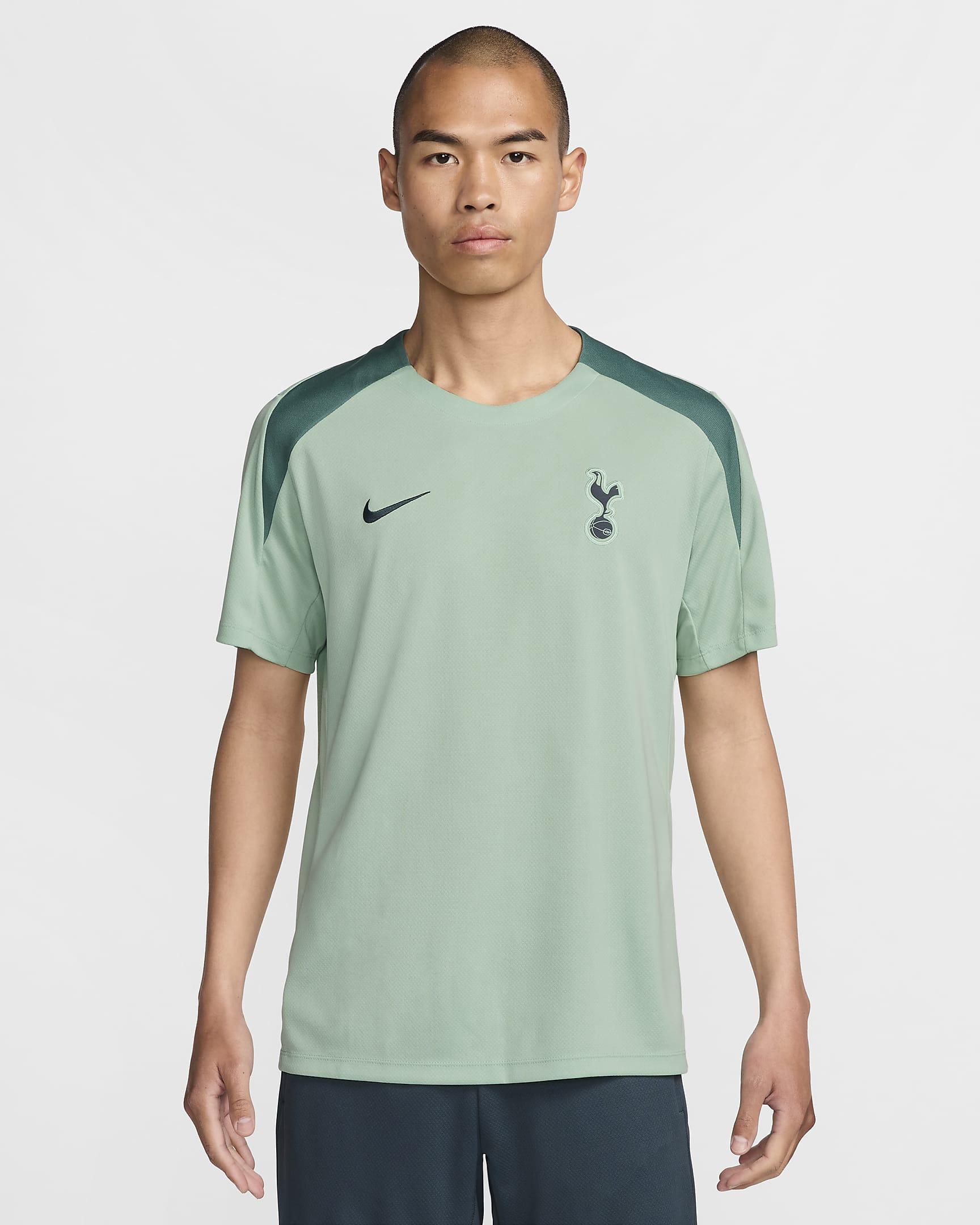 Męska dzianinowa koszulka piłkarska z krótkim rękawem Nike Dri-FIT Tottenham Hotspur Strike (wersja trzecia) - Enamel Green/Enamel Green/Bicoastal/Faded Spruce