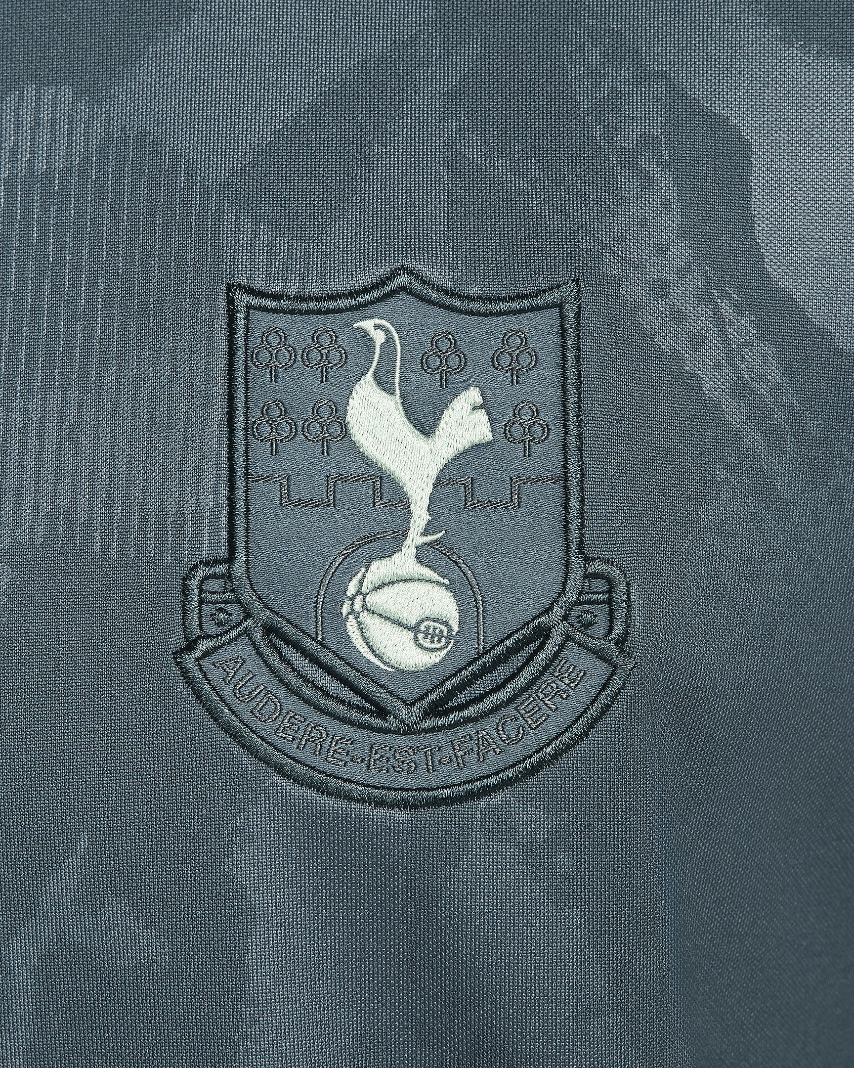 Męska przedmeczowa koszulka piłkarska Nike Dri-FIT Tottenham Hotspur Academy Pro (wersja trzecia) - Faded Spruce/Enamel Green