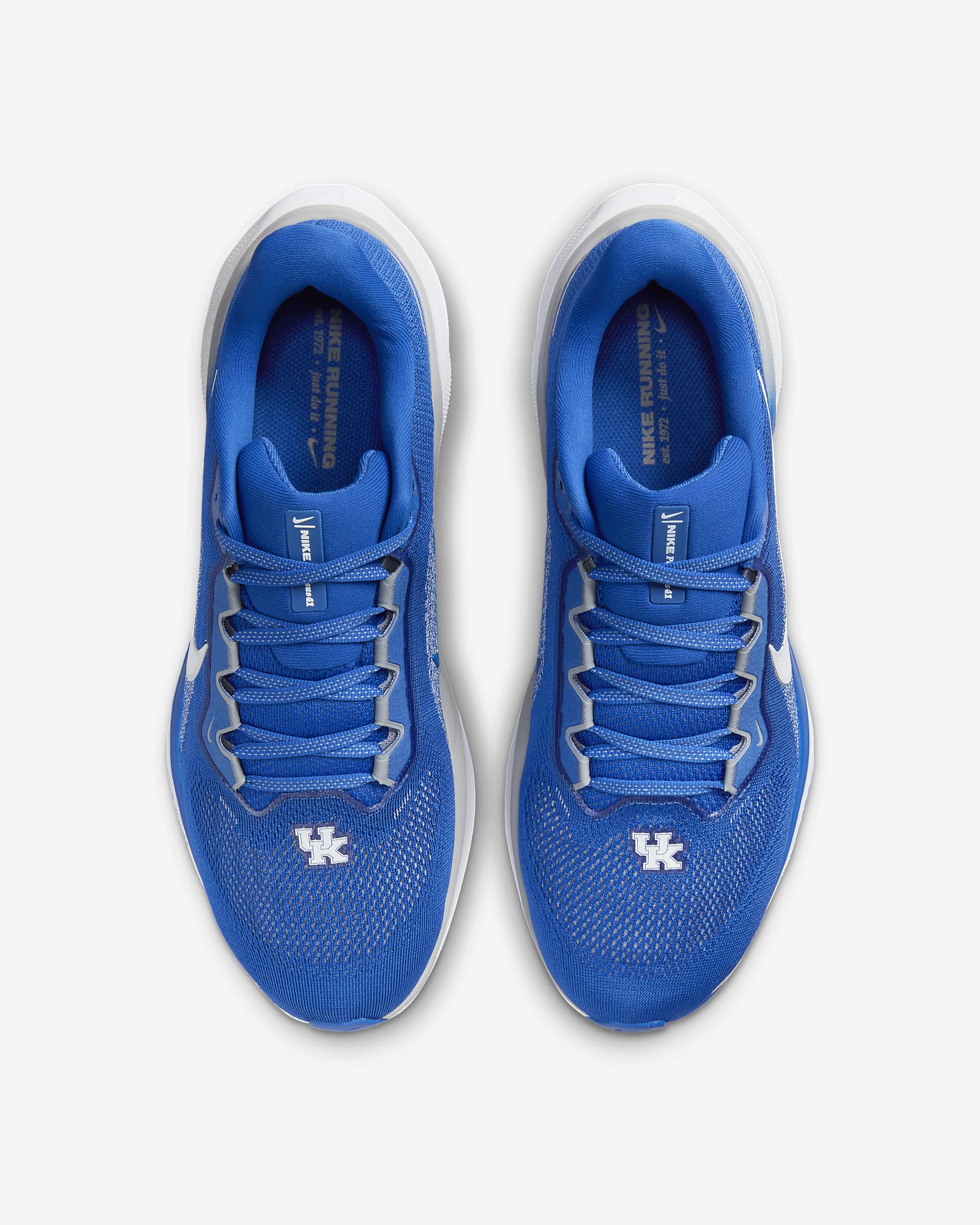 Kentucky Pegasus 41 Men's Nike College Road Running Shoes - Game Royal/White/Wolf Grey/White