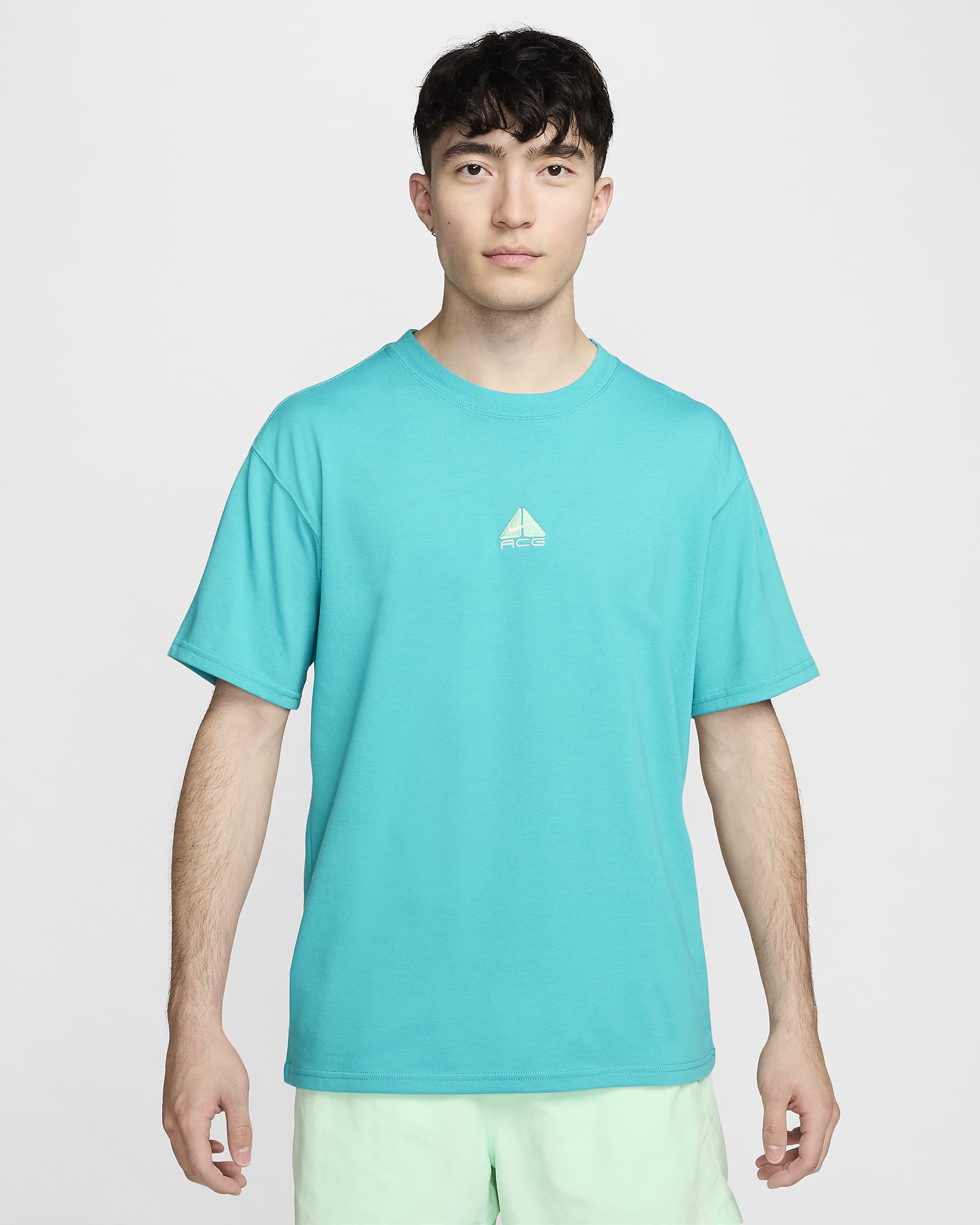 Nike ACG Men's T-Shirt - Dusty Cactus