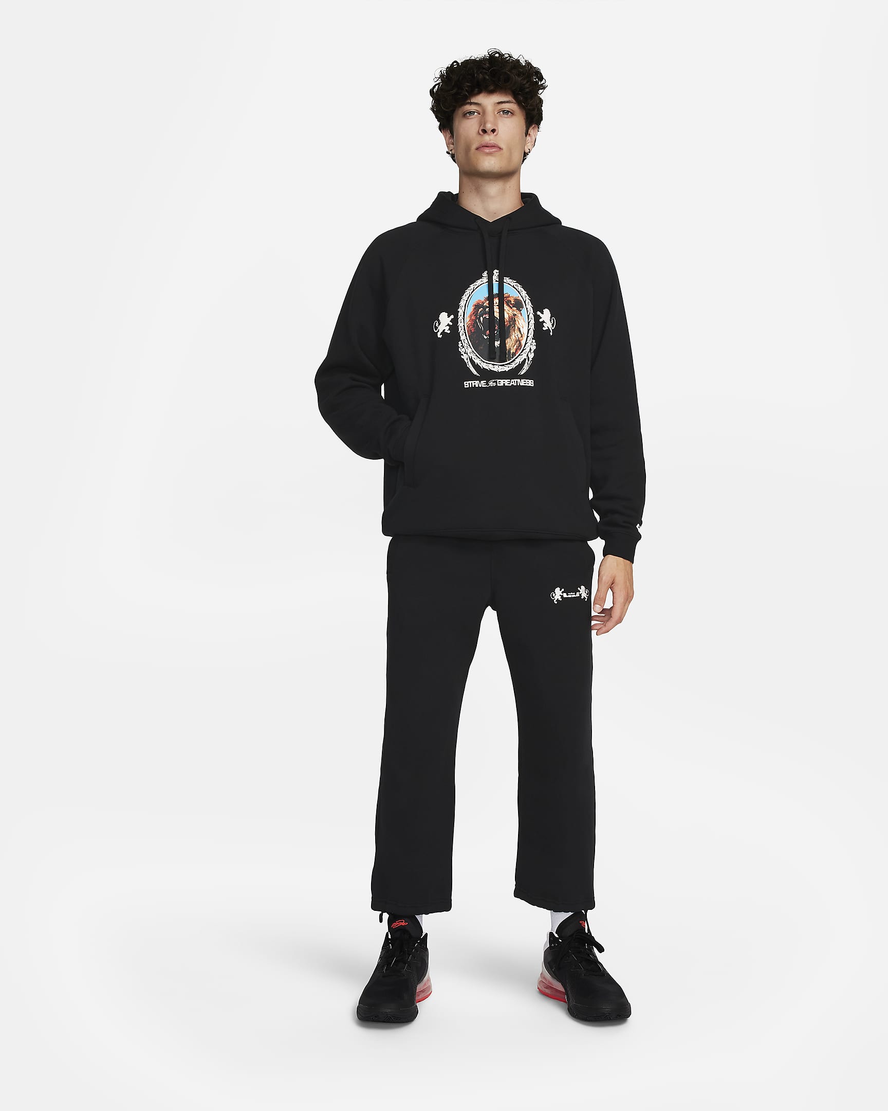 mens lebron hoodie