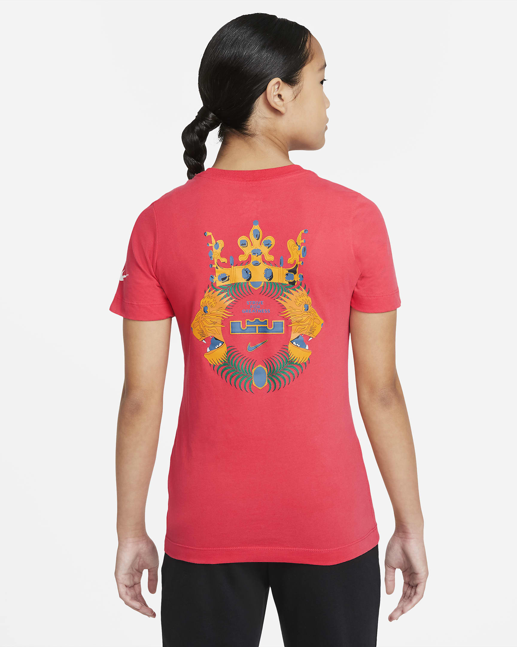 dri fit lebron shirt