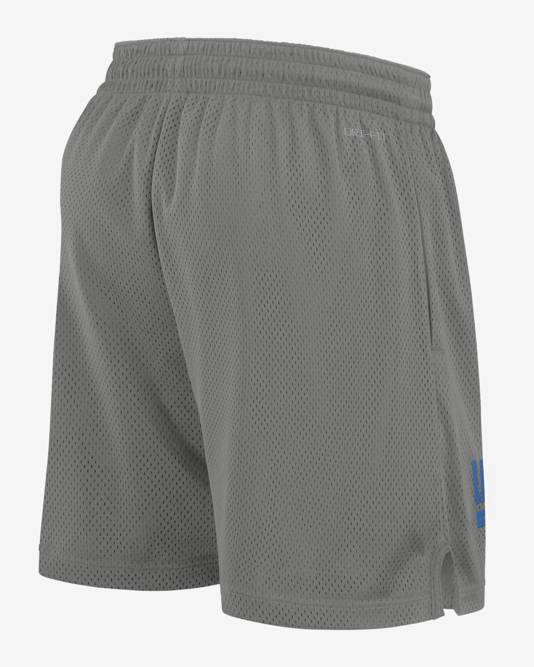 Detroit Lions Sideline Men's Nike Dri-FIT NFL Shorts - Grey