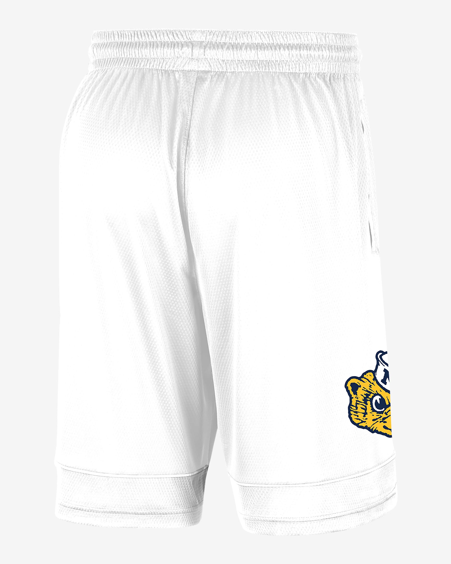 Michigan Men's Nike College Shorts - White