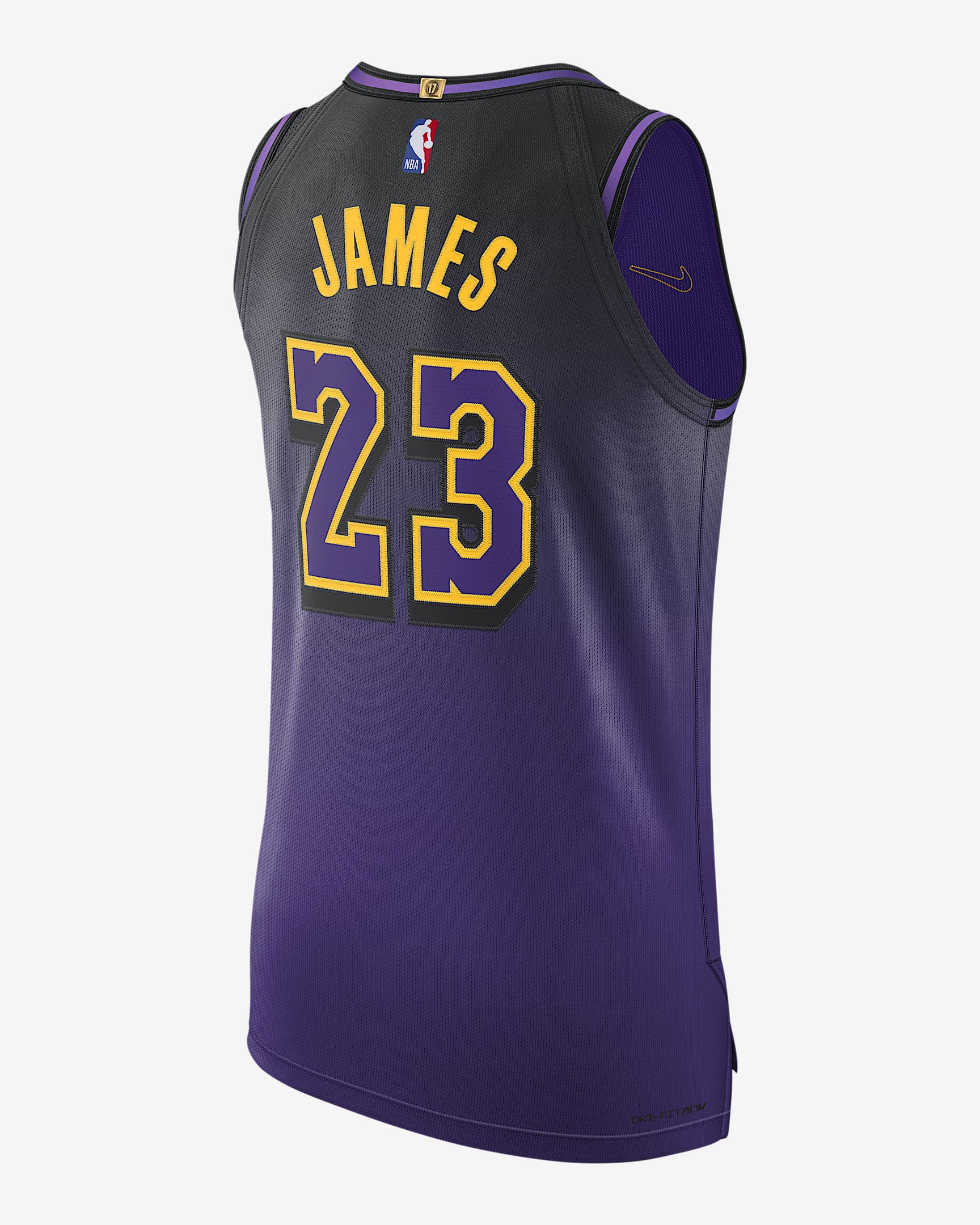 LeBron James Los Angeles Lakers 2024/25 City Edition Men's Nike DriFIT