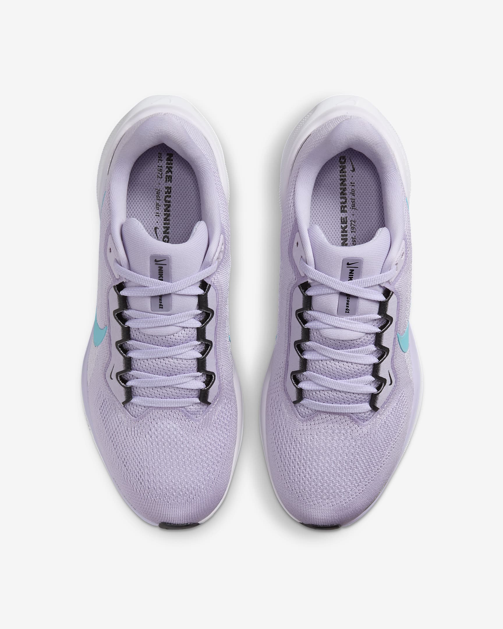 Nike Pegasus 41 hardloopschoenen voor dames (straat) - Hydrangeas/Barely Grape/Zwart/Dusty Cactus