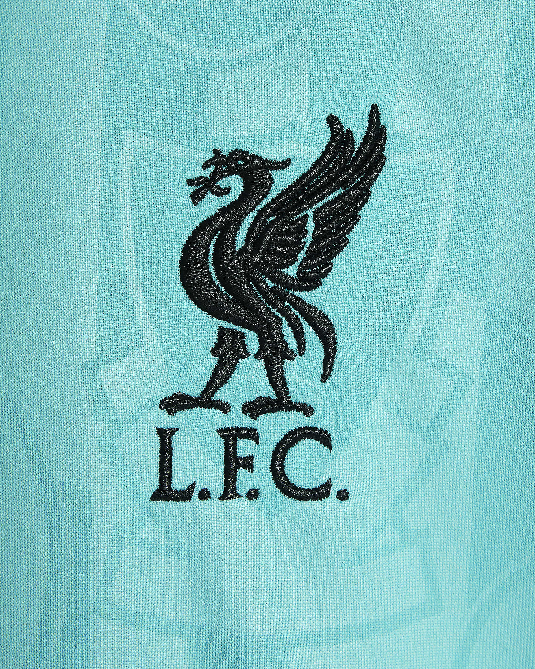 FC Liverpool Academy Pro Nike Dri-FIT Pre-Match Kurzarm-Fußballoberteil (ältere Kinder) - Washed Teal/Night Forest/Night Forest