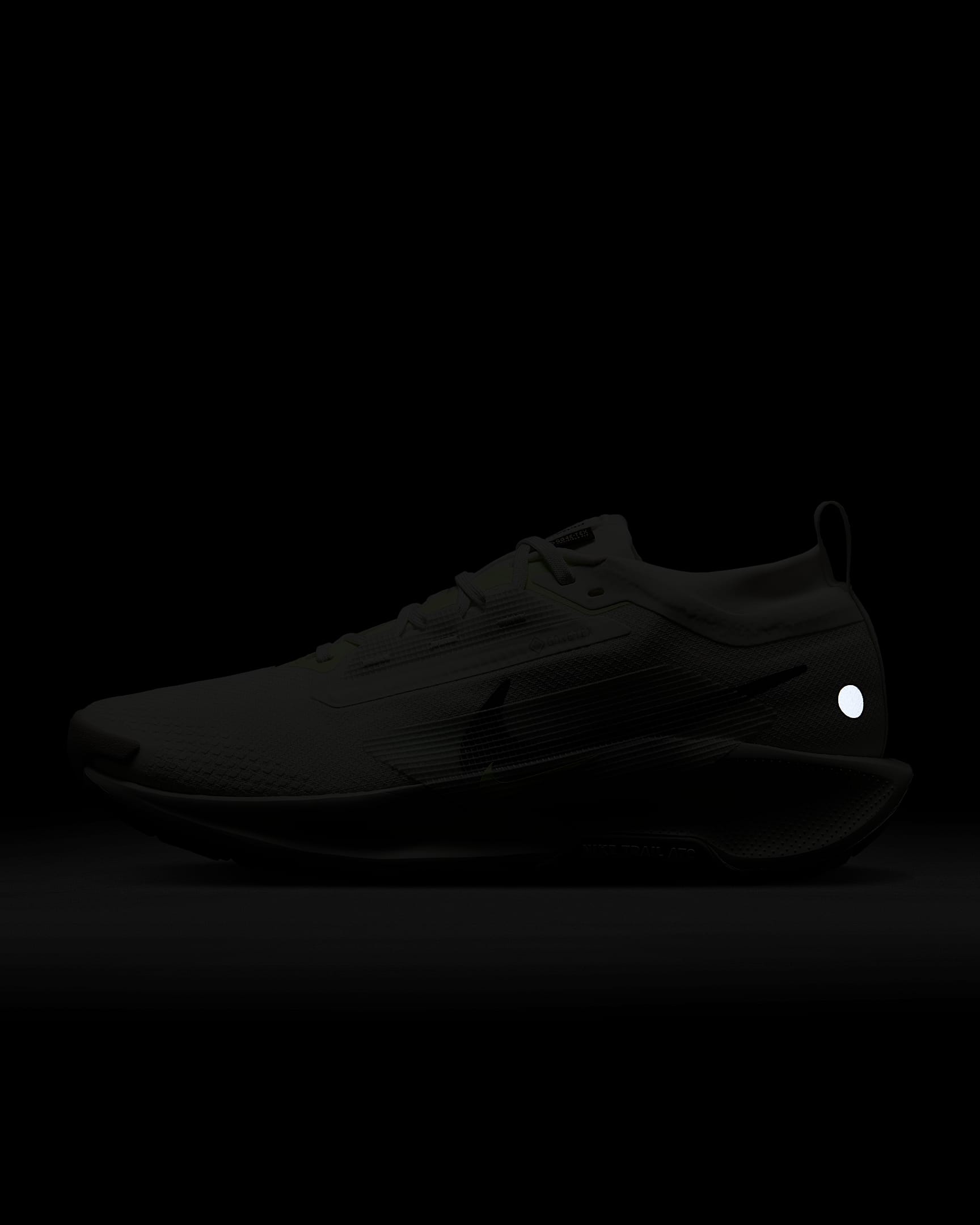 Nike Pegasus Trail 5 GORETEX Men