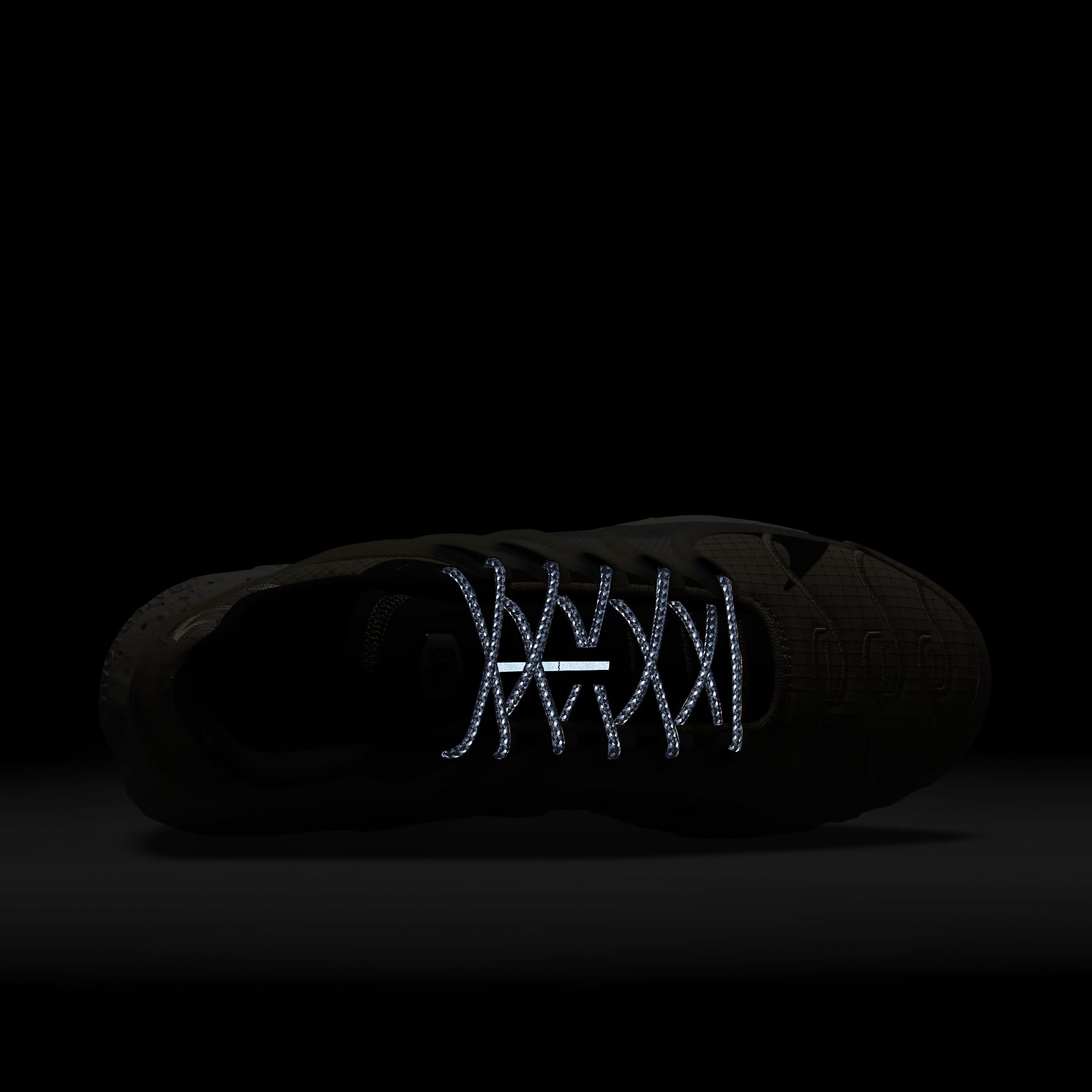 Nike Air Max Terrascape Plus | PickSneak