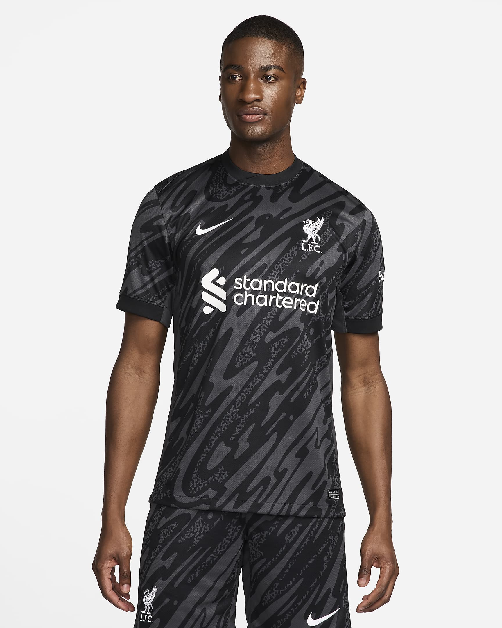 Liverpool F.C. Stadium Goalkeeper Men's Nike Dri-FIT Football Replica Short-Sleeve Shirt - Anthracite/Black/White