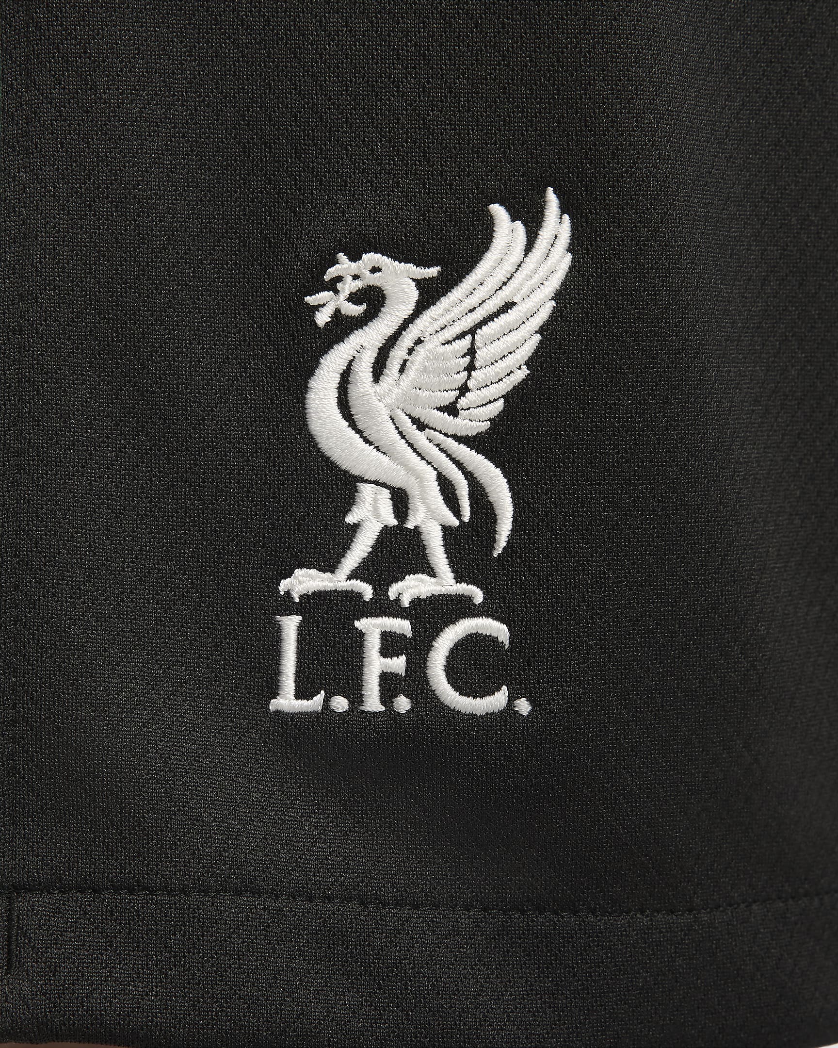 Liverpool F.C. 2024/25 Stadium Away Men's Nike Dri-FIT Football Replica Shorts - Night Forest/Anthracite/Washed Teal/Sail