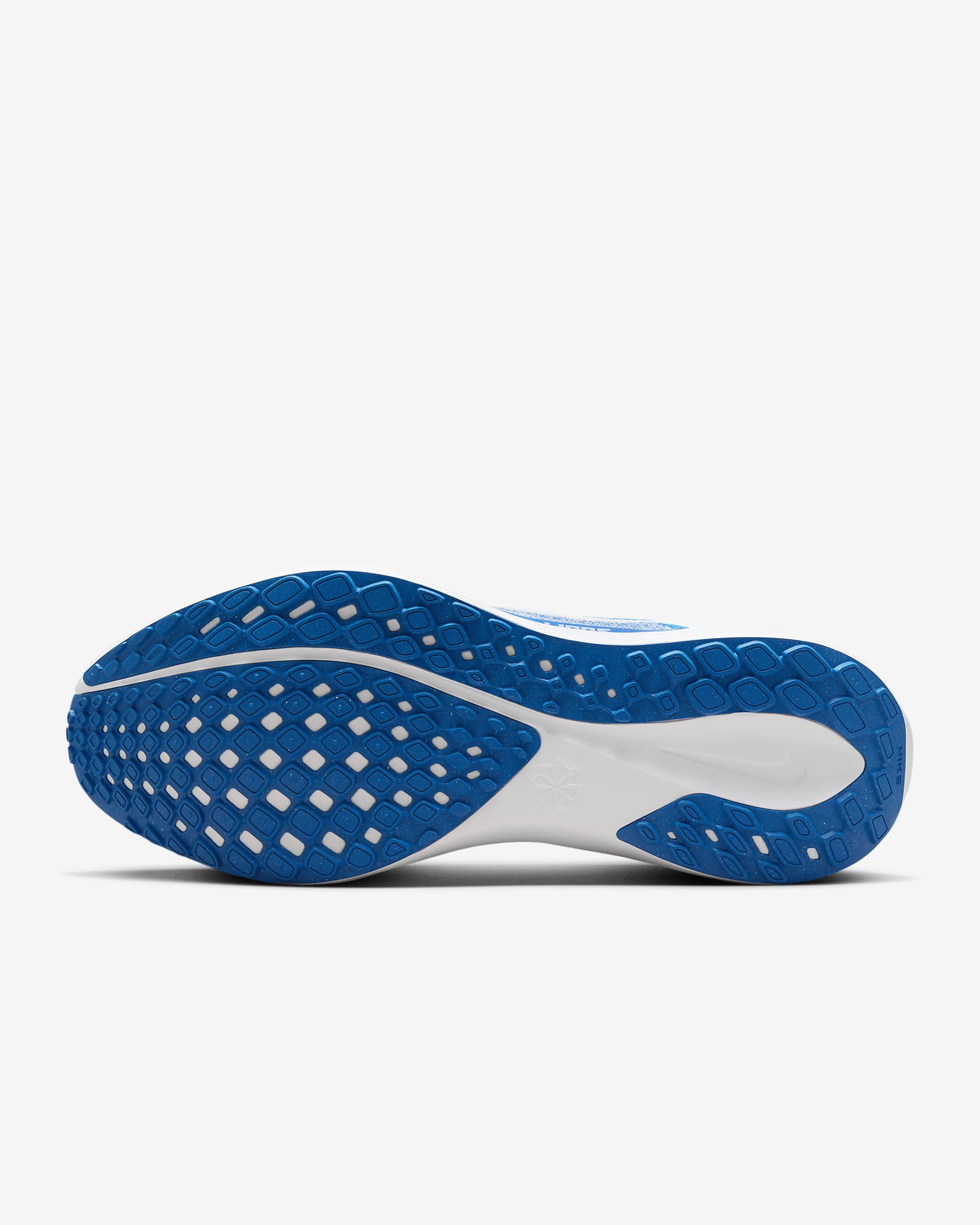 Tenis de correr en pavimento para hombre Nike Pegasus 41 NFL Detroit Lions - Azul competición/Blanco/Gris lobo/Blanco