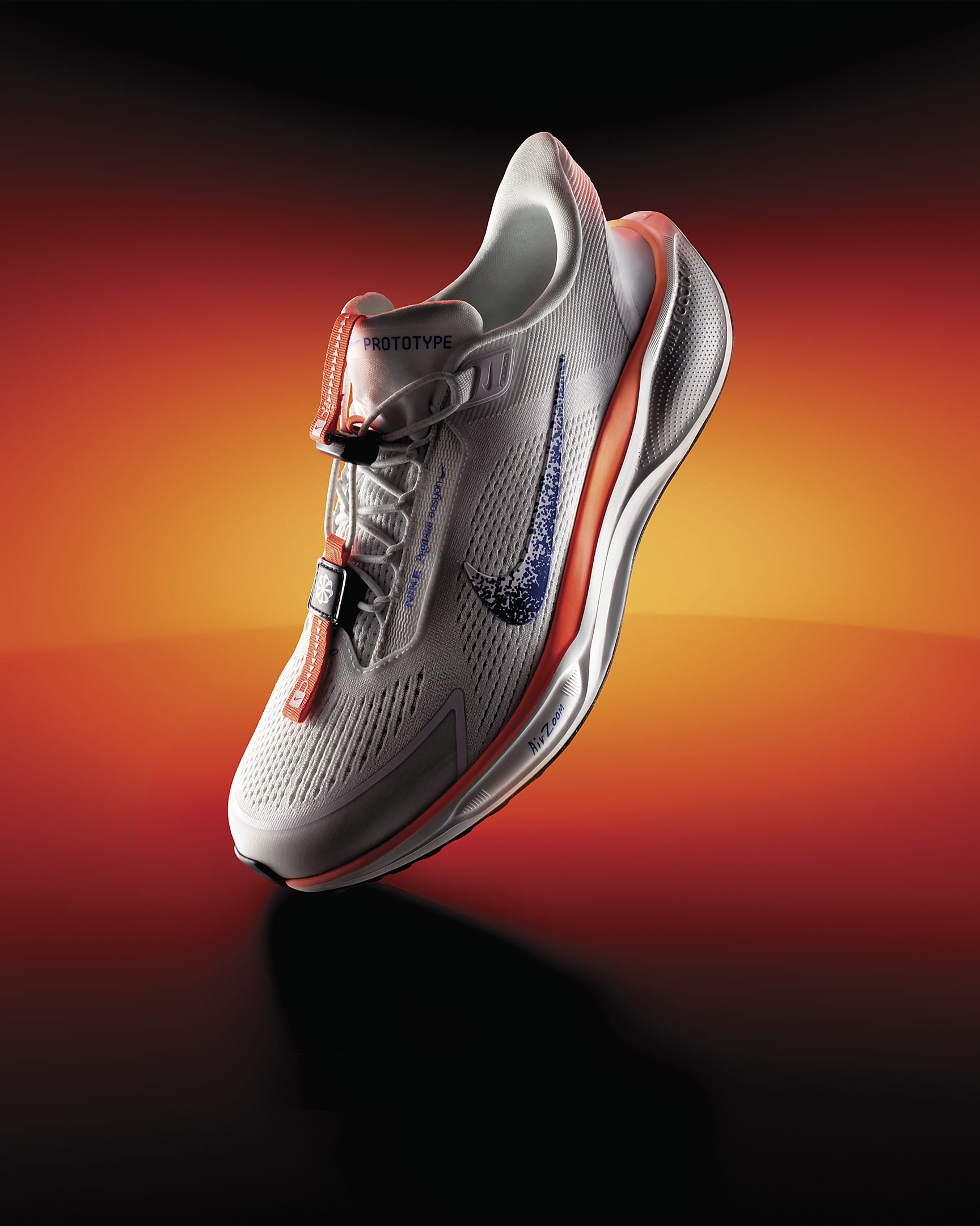 Nike Pegasus EasyOn Blueprint Women's Road Running Shoes - Multi-Colour/Multi-Colour