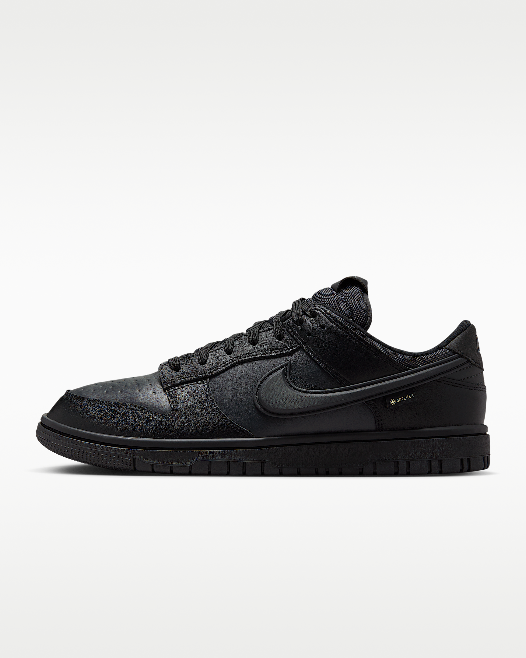 Nike Dunk Low GORE-TEX