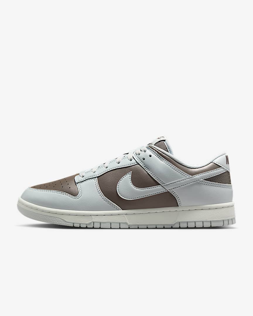 Nike Dunk Low Retro Men's Shoes