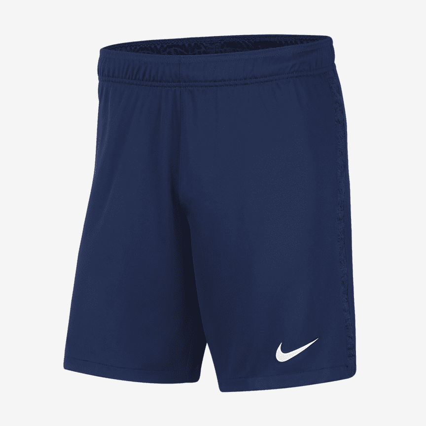 nike blue shorts men