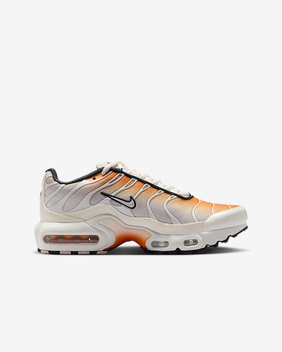 Nike Air Max Plus Big Kids' Shoes
