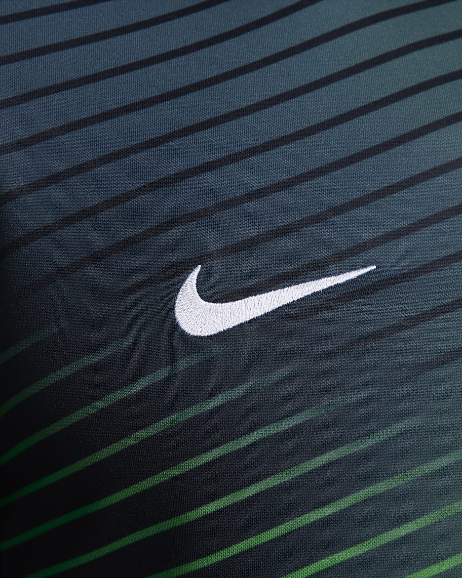 Pánské předzápasové fotbalové tričko Nike Dri-FIT Nigeria Academy Pro s krátkým rukávem - Cool Grey/Lucky Green/Černá/Bílá