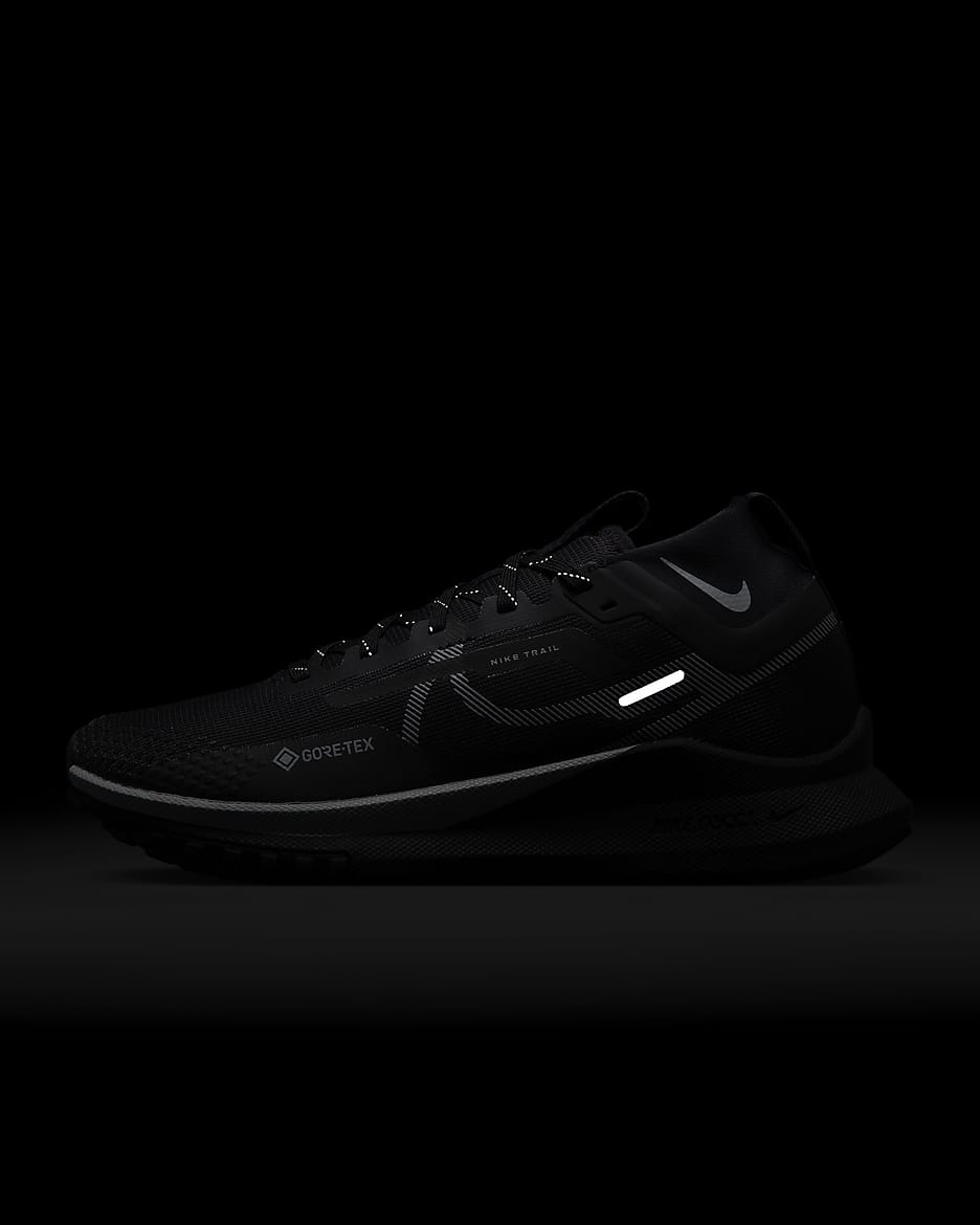 Nike Pegasus Trail 4 GORE-TEX vanntette terrengløpesko til dame - Svart/Reflect Silver/Wolf Grey