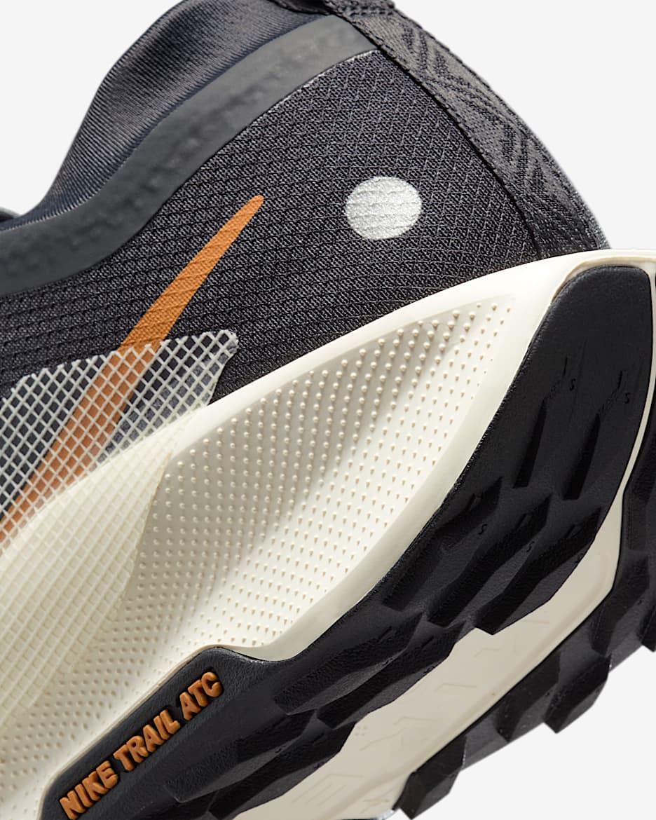 Nike Pegasus Trail 5 GORETEX Men