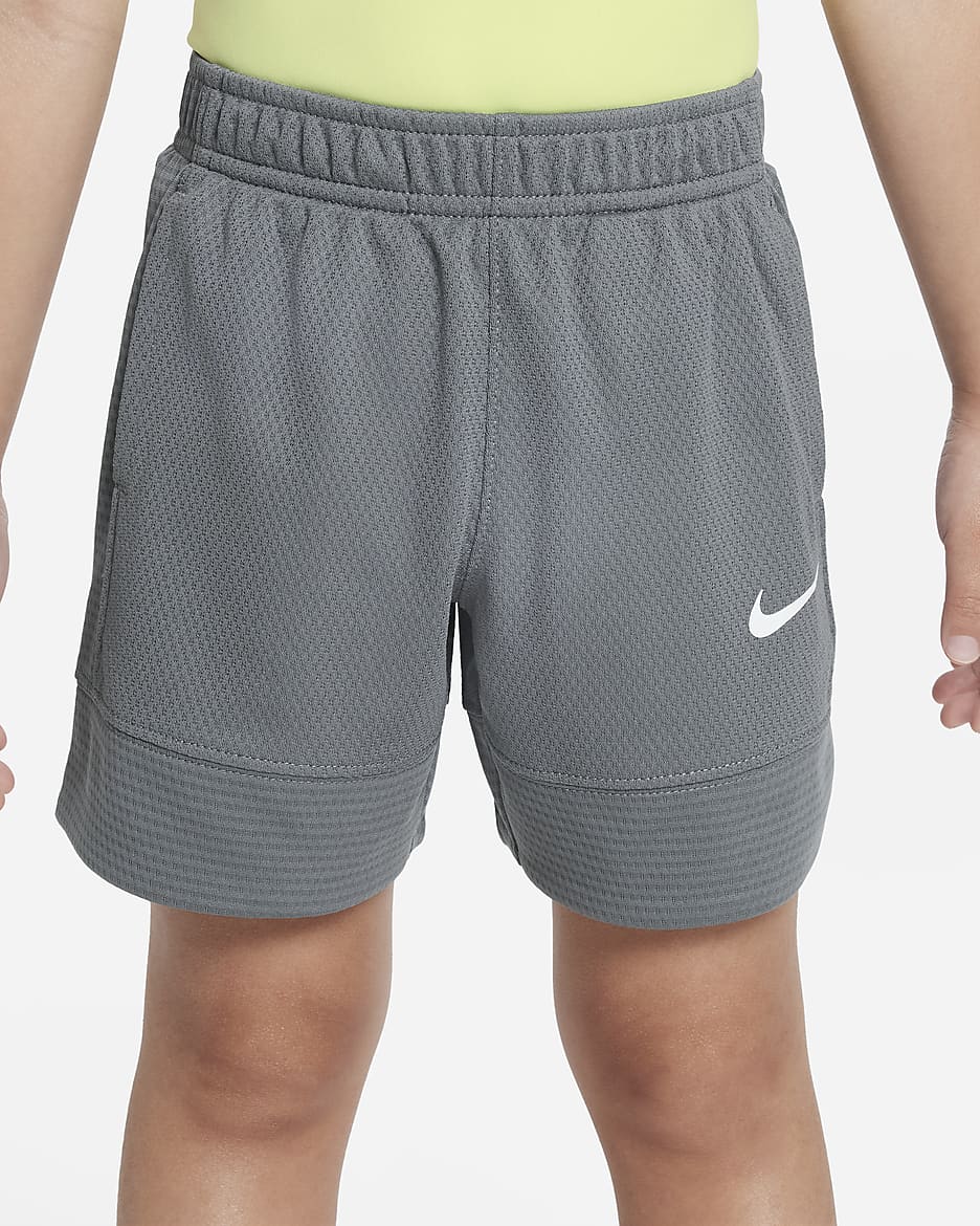 Nike Dri-FIT Elite Toddler Shorts - Smoke Grey