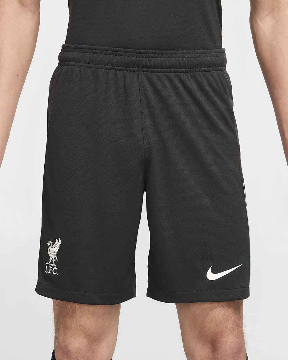 Liverpool F.C. 2024/25 Stadium Away Men's Nike Dri-FIT Football Replica Shorts - Night Forest/Anthracite/Washed Teal/Sail