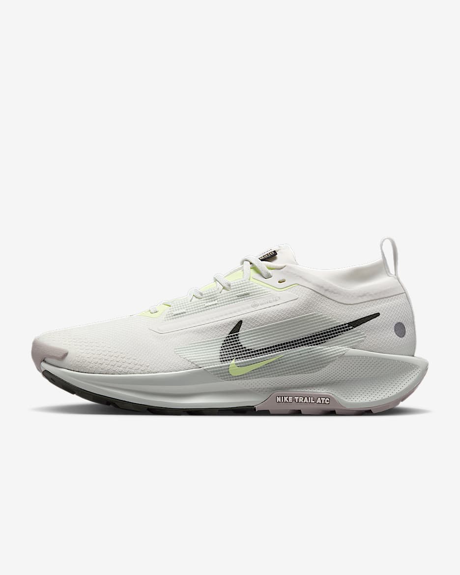 Nike Pegasus Trail 5 GORE-TEX Men's Waterproof Trail-Running Shoes - Summit White/Light Silver/College Grey/Sequoia