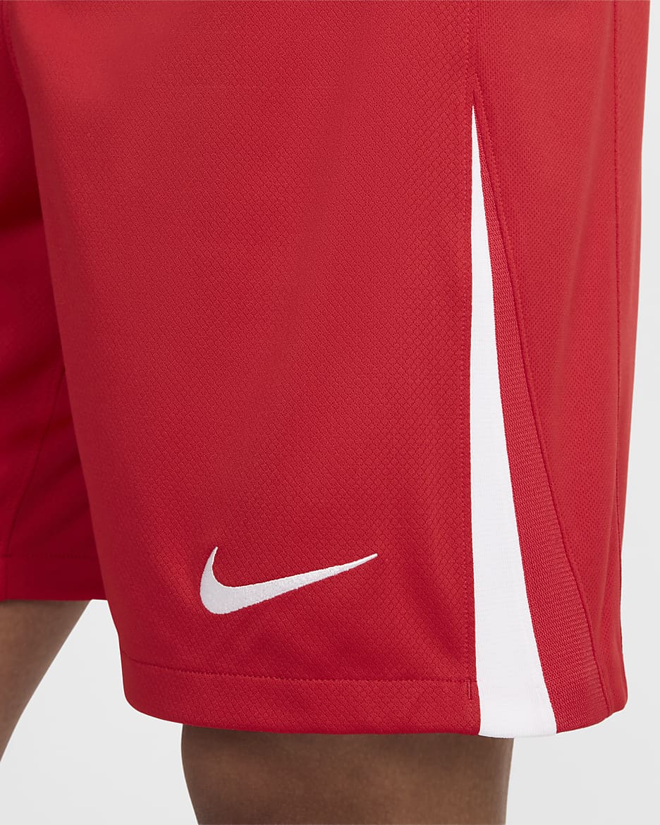 Poland 2024/25 Stadium Home/Away Men's Nike Dri-FIT Football Replica Shorts - Sport Red/White/White