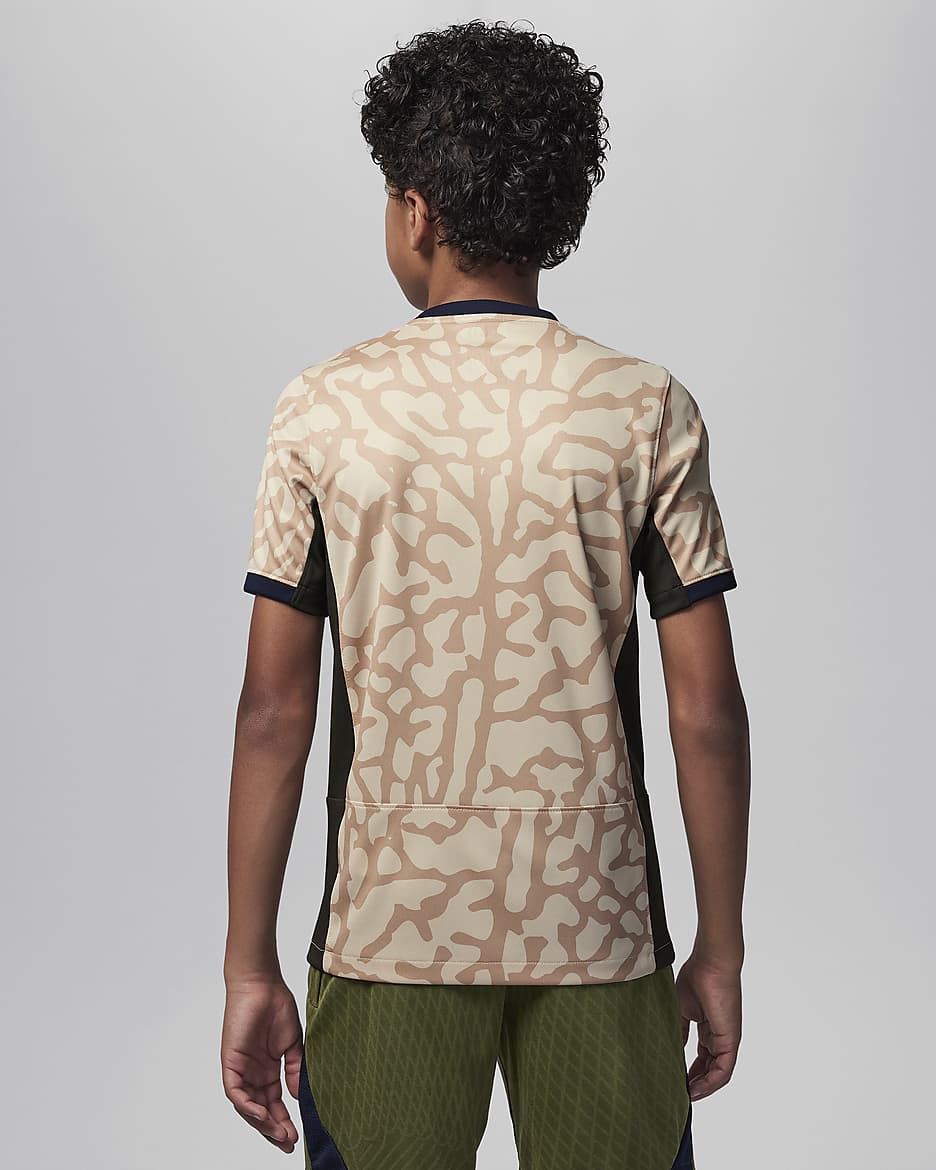 Camisola de futebol de réplica Jordan Dri-FIT do quarto equipamento Stadium Paris Saint-Germain 2023/24 Júnior - Hemp/Obsidian/Sequoia/Verde Rough