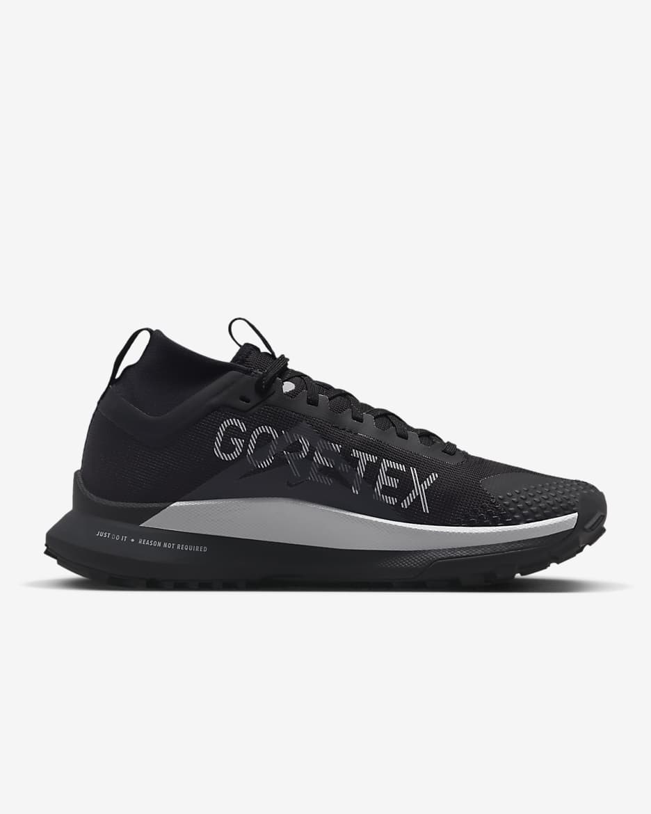 Nike Pegasus Trail 4 GORE-TEX Su Geçirmez Arazi Tipi Kadın Koşu Ayakkabısı - Siyah/Reflect Silver/Wolf Grey