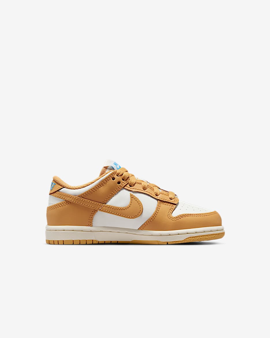 Nike Dunk Low Little Kids' Shoes