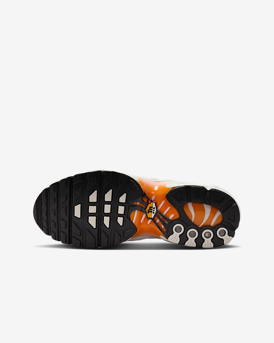 Nike Air Max Plus Big Kids' Shoes