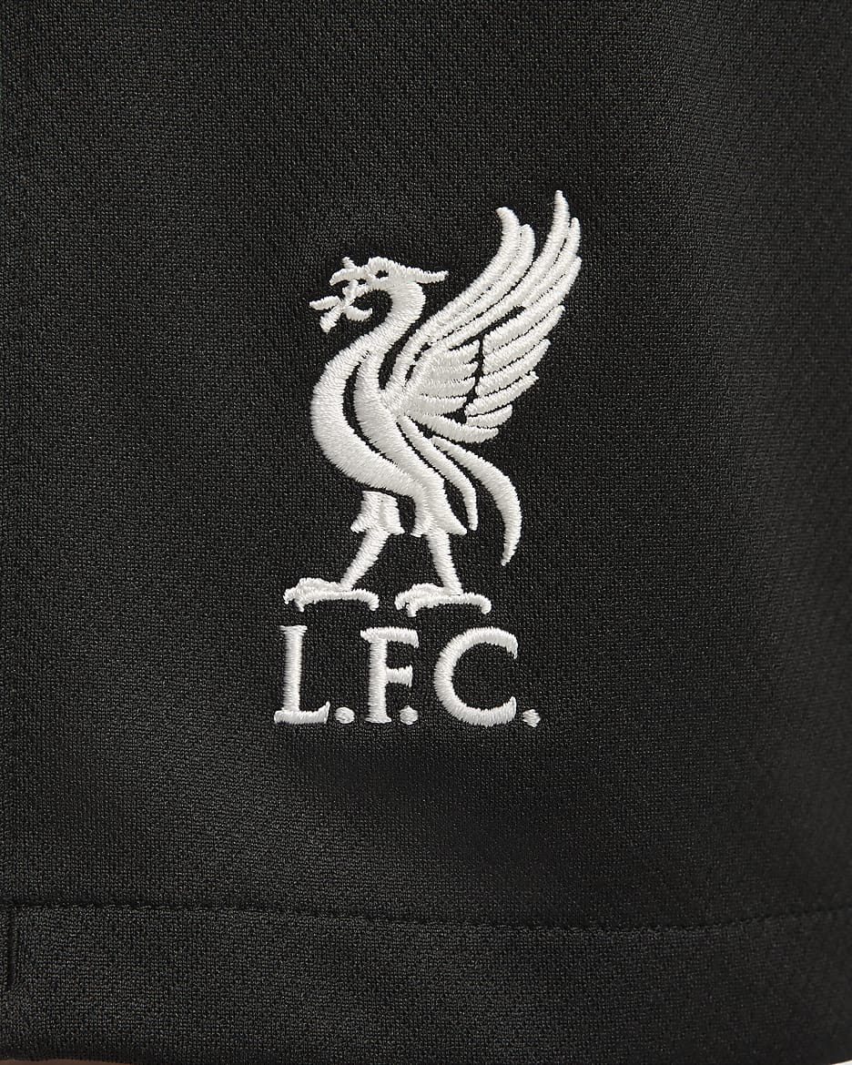 Liverpool F.C. 2024/25 Stadium Away Men's Nike Dri-FIT Football Replica Shorts - Night Forest/Anthracite/Washed Teal/Sail