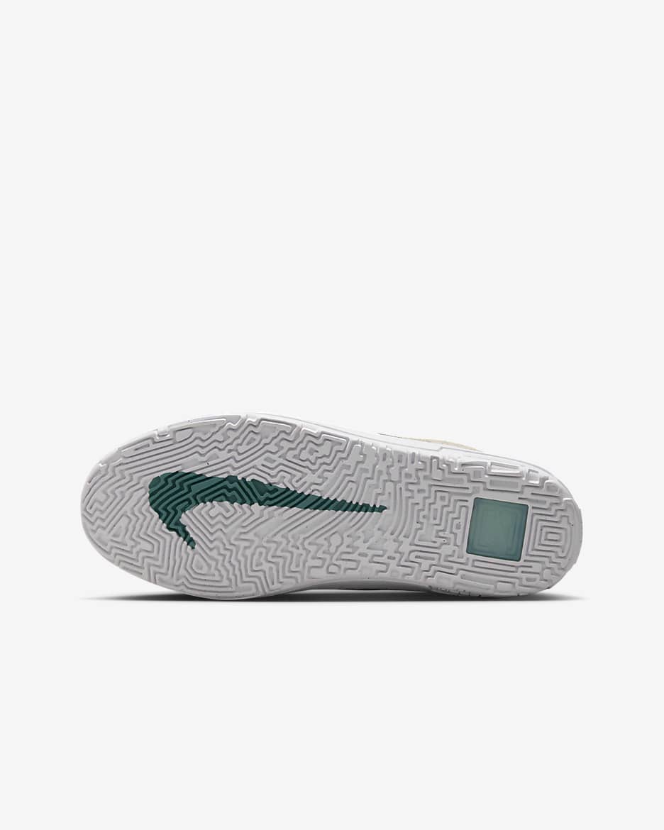 Nike SB Day One skateschoenen voor kids - Sanddrift/Court Blue/Bicoastal/Zwart