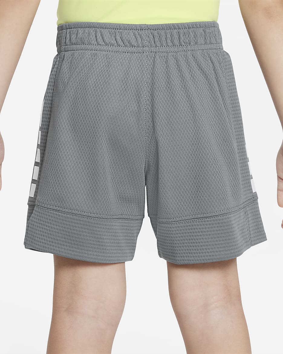 Nike Dri-FIT Elite Toddler Shorts - Smoke Grey