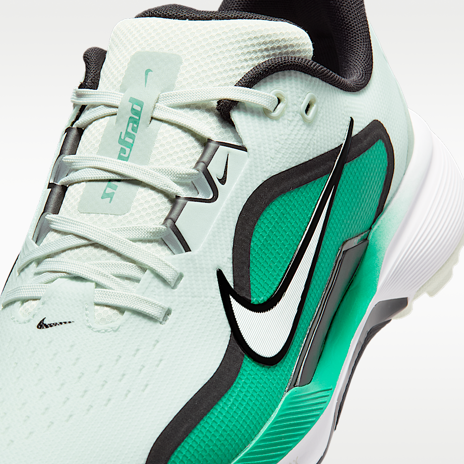 Мужские кроссовки для гольфа Nike Pegasus 1 G — фото 8