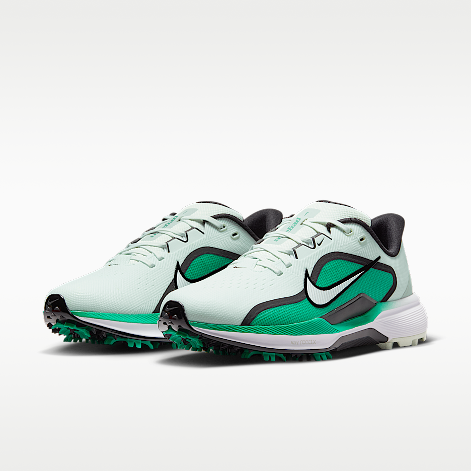 Мужские кроссовки для гольфа Nike Pegasus 1 G — фото 5