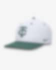 Low Resolution Minnesota Twins Bicoastal 2-Tone Pro Men's Nike Dri-FIT MLB Adjustable Hat