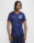 Low Resolution Camisola de futebol de réplica Nike Dri-FIT do equipamento alternativo Stadium Países Baixos (equipa masculina) 2024/25 para homem