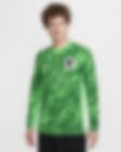Low Resolution Netherlands (Men's Team) 2024/25 Stadium Goalkeeper Men's Nike Dri-FIT Football Replica Shirt
