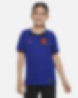 Low Resolution Netherlands 2022/23 Stadium Away Older Kids' Nike Dri-FIT Football Shirt